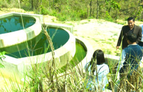 वीरेन्द्रनगरमा दिसाबाट बन्छ तातो केक…