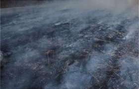 २१० क्विन्टल धानमा आगलागी, दोषी अझै अज्ञात