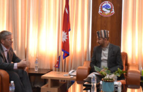 सञ्चारमन्त्री खरेलसँग अमेरिकी राजदूत थम्प्सनको शिष्टाचार भेट