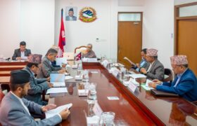 सरकारद्वारा ११ देशमा कार्यरत राजदूतहरू फिर्ता बोलाउने निर्णय