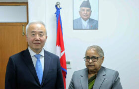 प्रधानमन्त्री कार्कीसँग जापानी राजदूतको शिष्टाचार भेट