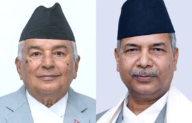 राष्ट्रपति र उपराष्ट्रपति मतदानमा सहभागी नहुने