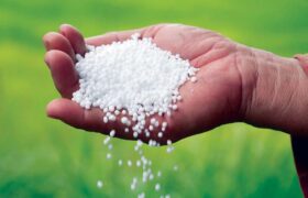 भारतबाट ८० हजार मेट्रिक टन रासायनिक मल आयात गर्ने सरकारको निर्णय